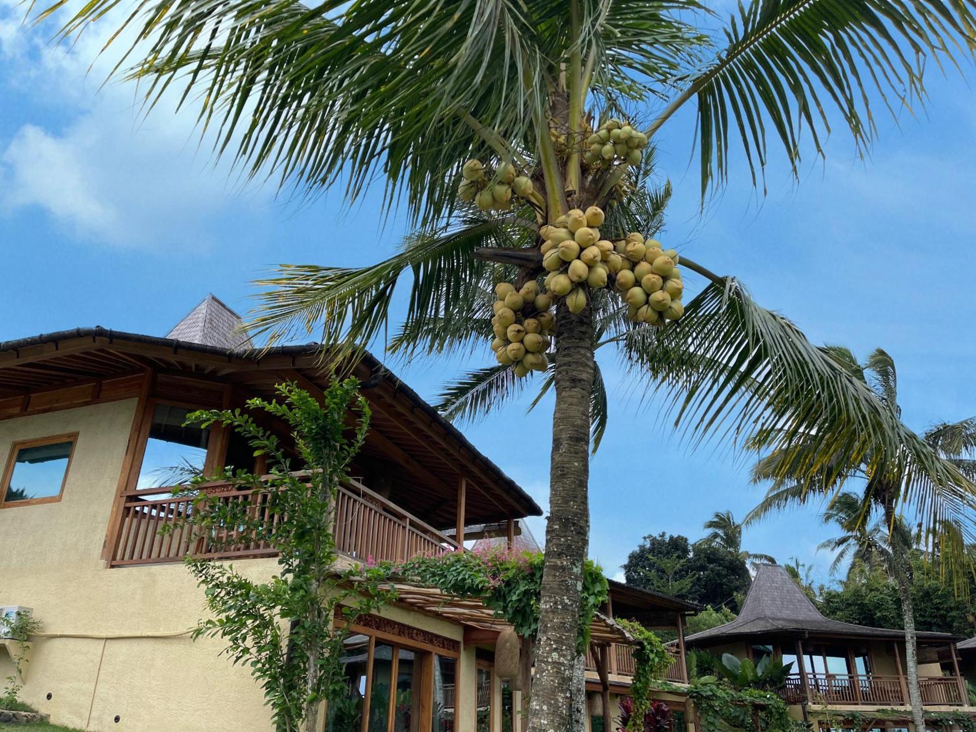Puri Dajuma Terrace Eco Lodge & Spa Selemadeg  Zewnętrze zdjęcie