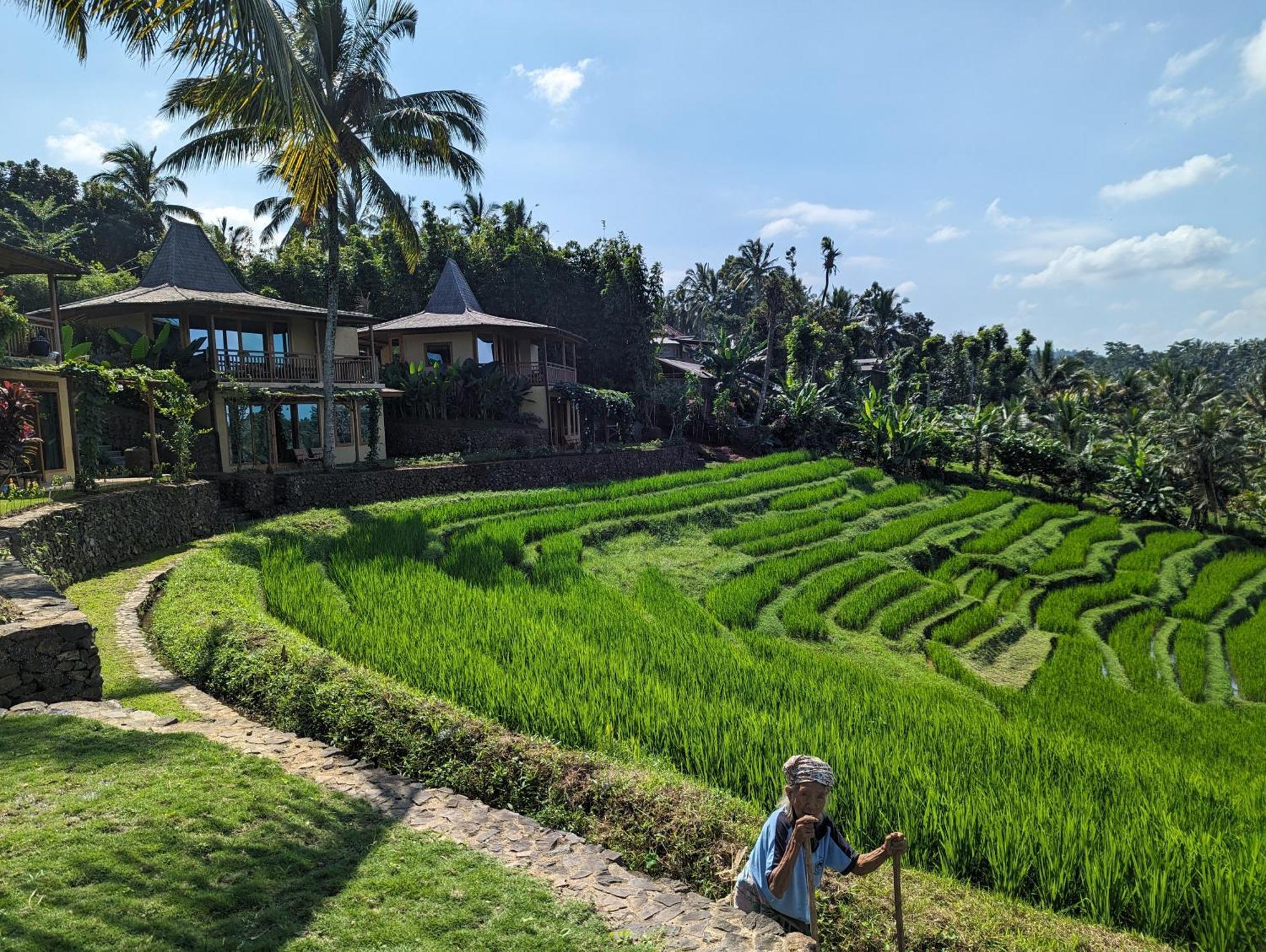 Puri Dajuma Terrace Eco Lodge & Spa Selemadeg  Zewnętrze zdjęcie