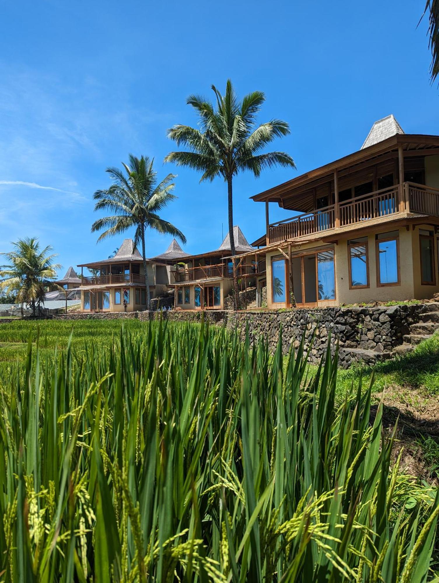Puri Dajuma Terrace Eco Lodge & Spa Selemadeg  Zewnętrze zdjęcie