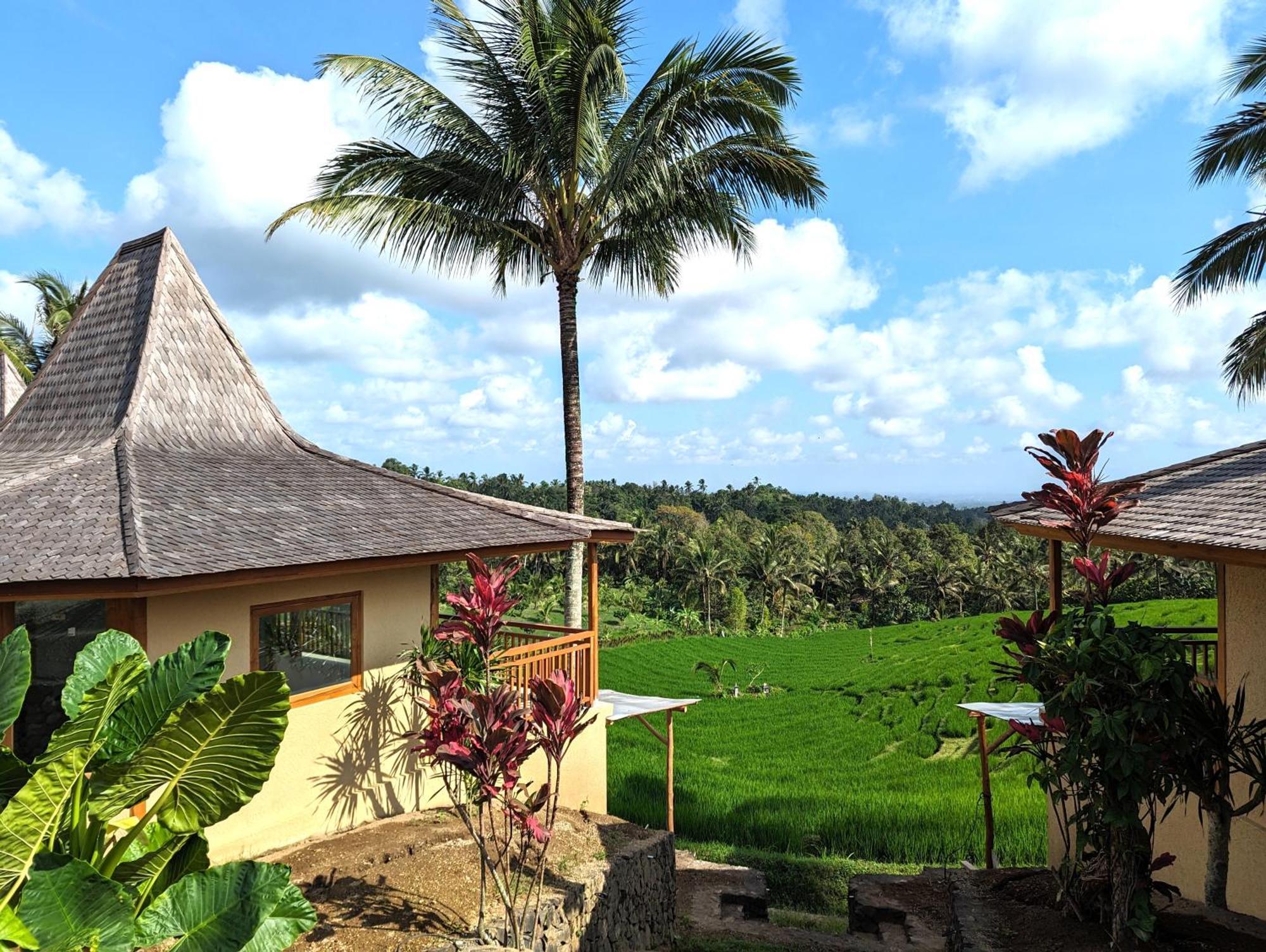 Puri Dajuma Terrace Eco Lodge & Spa Selemadeg  Zewnętrze zdjęcie