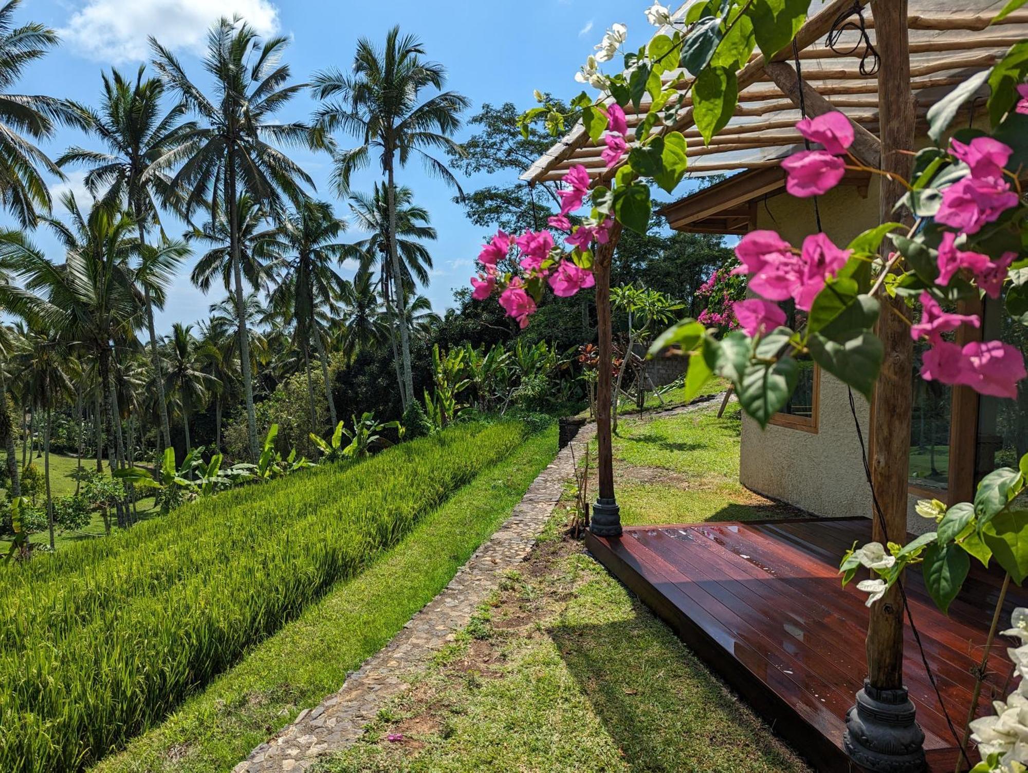 Puri Dajuma Terrace Eco Lodge & Spa Selemadeg  Zewnętrze zdjęcie