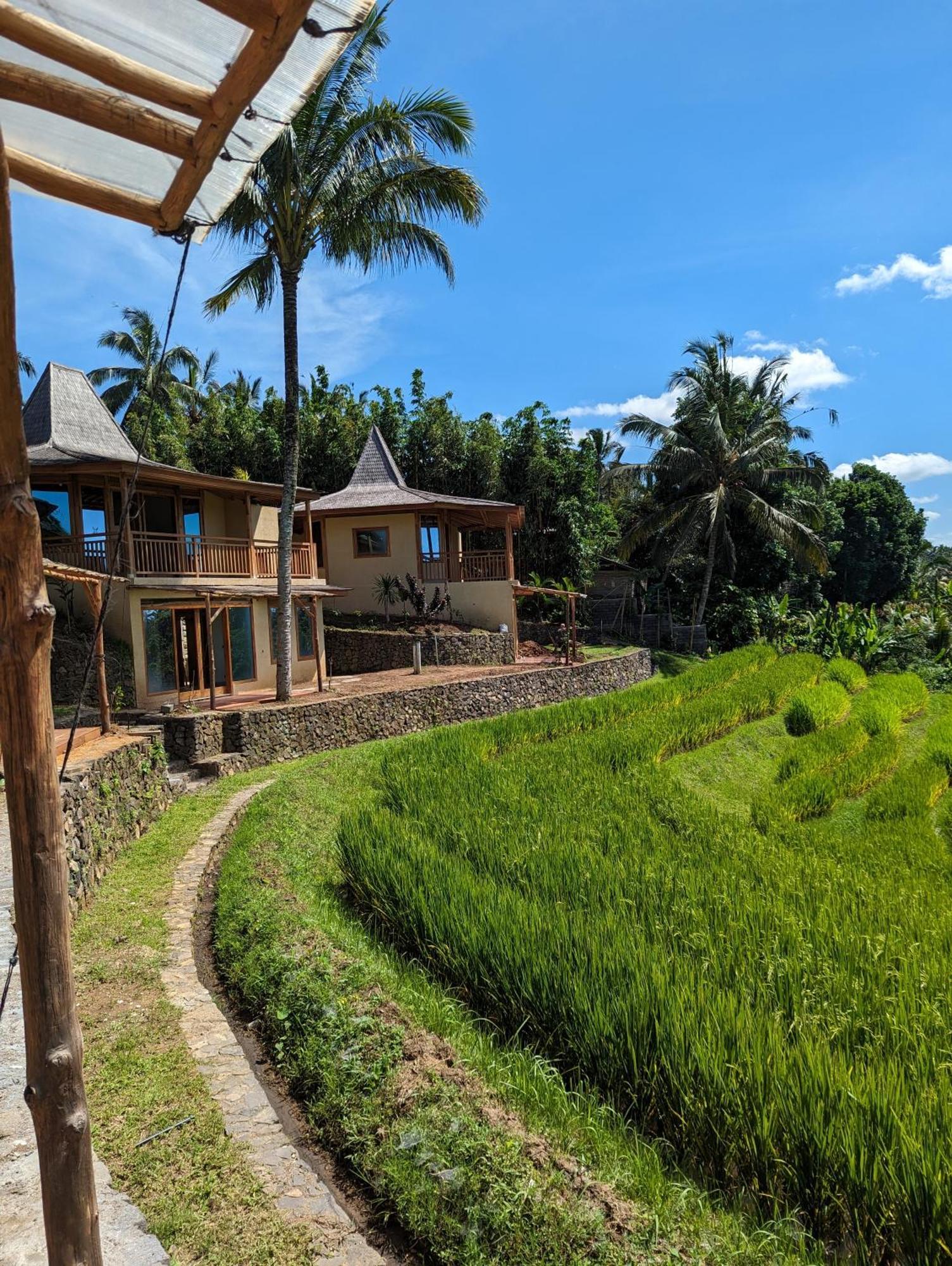 Puri Dajuma Terrace Eco Lodge & Spa Selemadeg  Zewnętrze zdjęcie